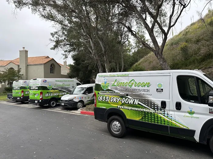 LimeGreen Water Damage & Restoration Picture 5