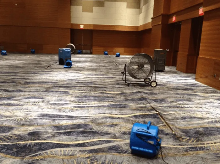 FJC & Company Picture 10