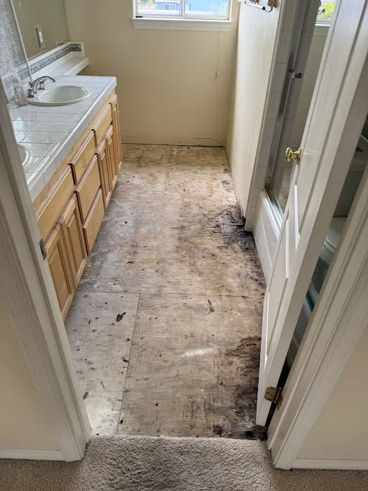 911 Restoration of South Bay LA Picture 6