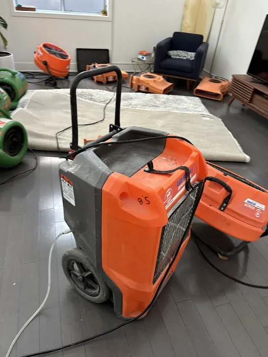 911 Restoration of South Bay LA Picture 5