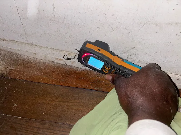 Coastline Environmental Solutions - Water Damage Restoration + Mold Remediation Long Beach Picture 4