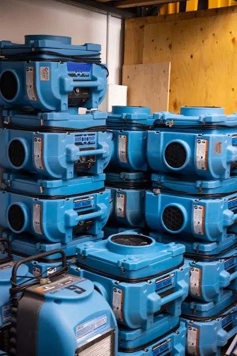 Save The Day Restoration Picture 6