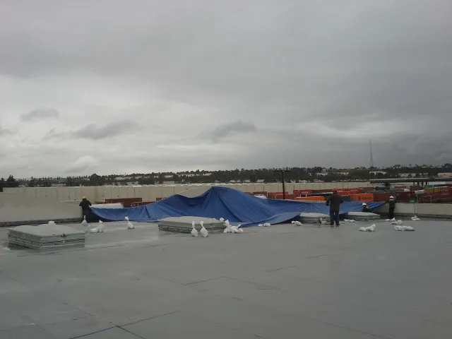 SERVPRO of Carson/West Carson Picture 1