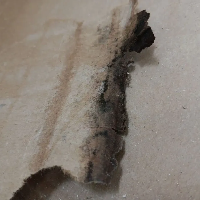 Fix My Home Picture 9