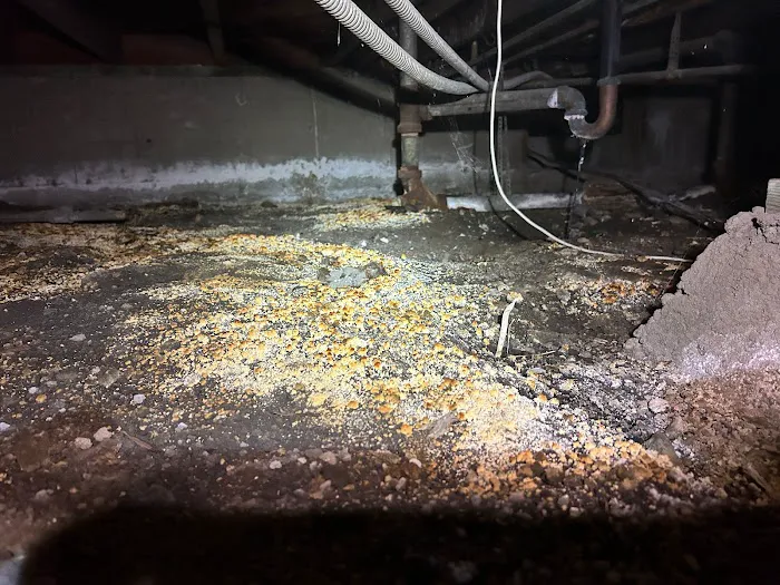 PuroClean of Long Beach Picture 3