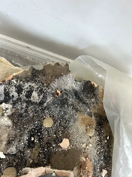 PuroClean of Long Beach Picture 2