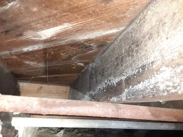 Accurate Environmental Picture 10