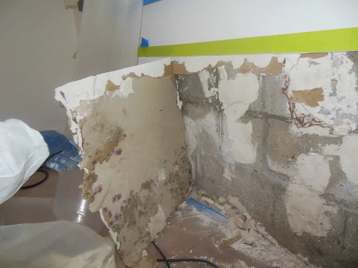 Accurate Environmental Picture 5