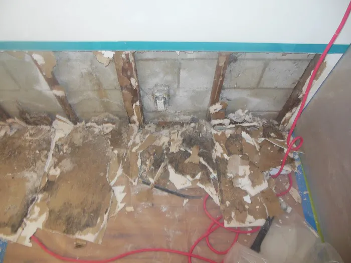 Accurate Environmental Picture 7