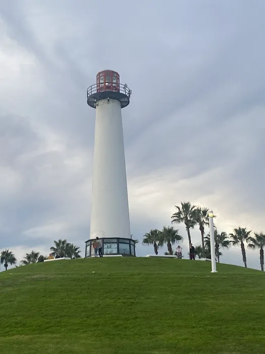 Long Beach CA Mold Removal Kings Picture 2