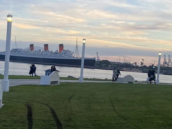 Long Beach CA Mold Removal Kings Picture 1