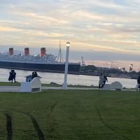 Long Beach CA Mold Removal Kings ico