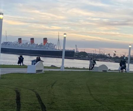 Long Beach CA Mold Removal Kings