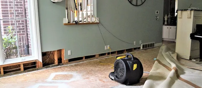 Silicon Beach Water Damage Solutions Picture 1