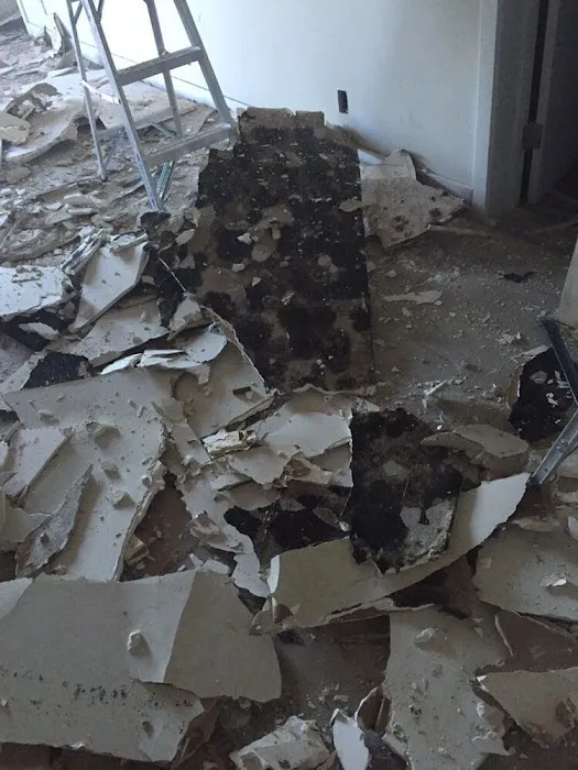 Guardians Mold Removal Los Angeles Picture 5