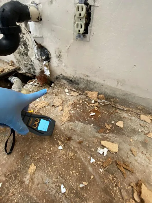 Guardians Mold Removal Los Angeles Picture 10