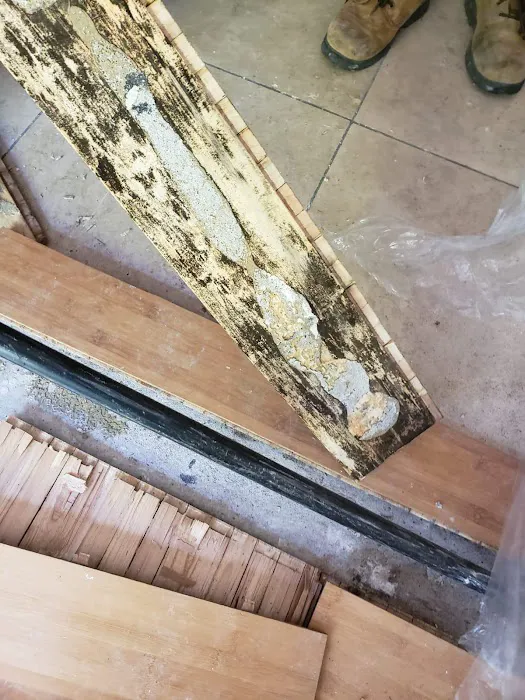 Guardians Mold Removal Los Angeles Picture 7