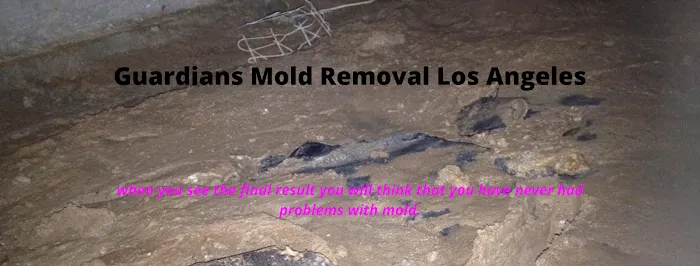 Guardians Mold Removal Los Angeles Picture 6