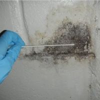 Guardians Mold Removal Los Angeles ico
