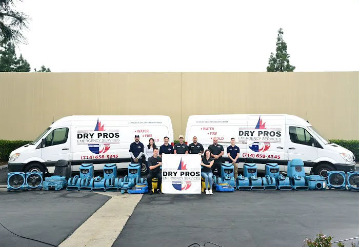 Dry Pros Emergency Services Picture 7