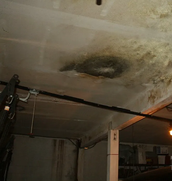 Hydro Hero Restoration Picture 8