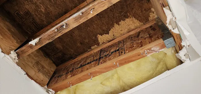 Green Restoration Solutions Picture 5