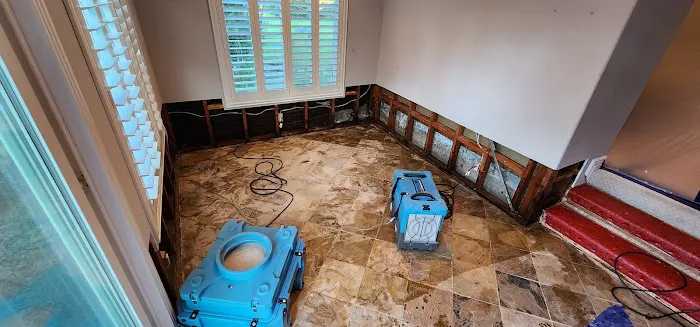 Green Restoration Solutions Picture 1