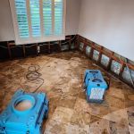 Green Restoration Solutions