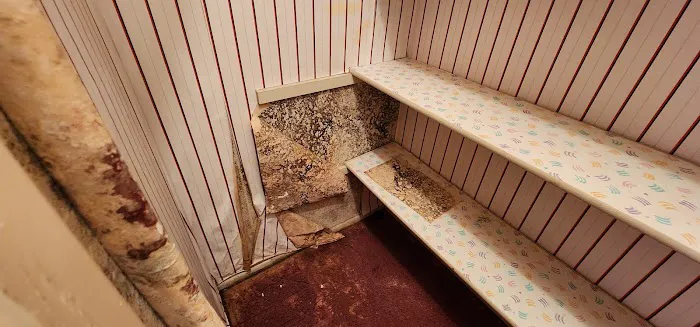 Green Restoration Solutions Picture 4