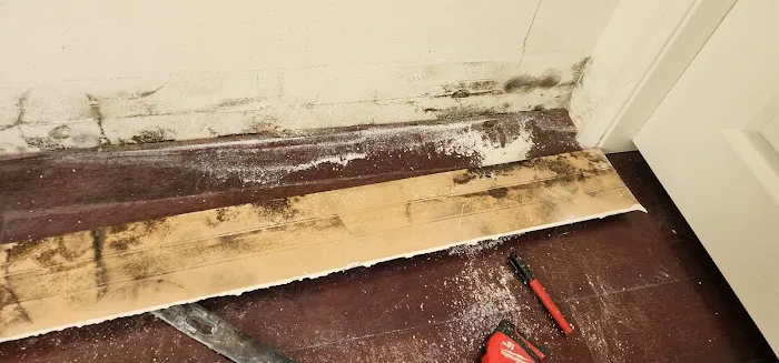 Green Restoration Solutions Picture 9