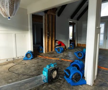 Elite Water Damage Restoration