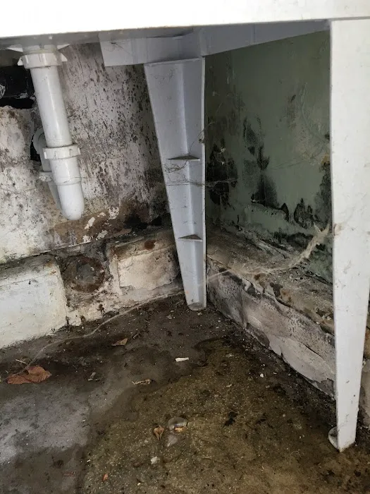 SERVPRO of Seal Beach / Los Alamitos / Cypress Picture 6