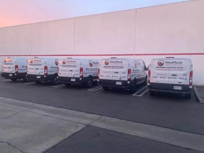 WestRock Restoration Picture 5