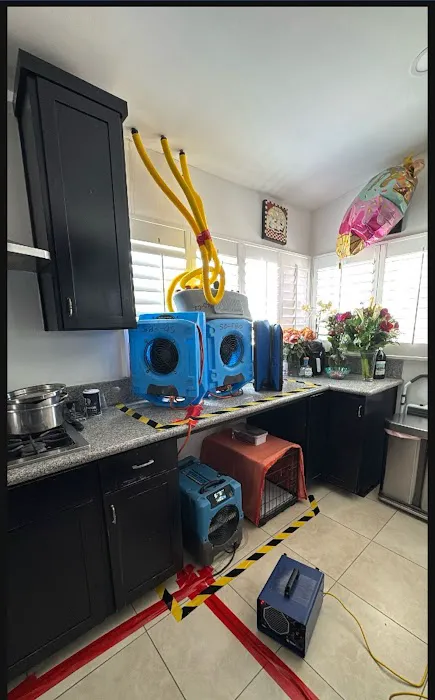 SafeOwner: SafeOwner Picture 1