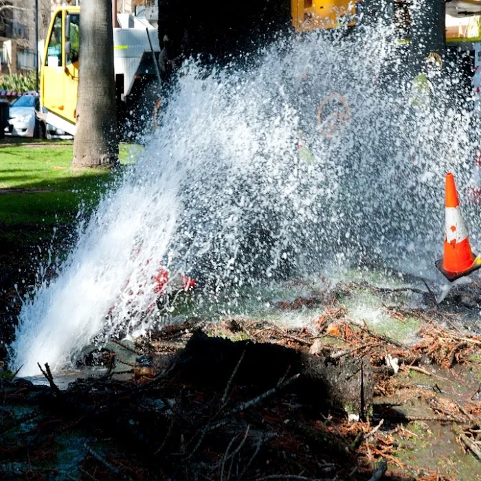 Ducktown Water Damage Solutions Picture 6