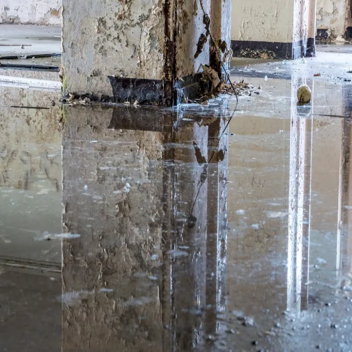 Ducktown Water Damage Solutions Picture 5