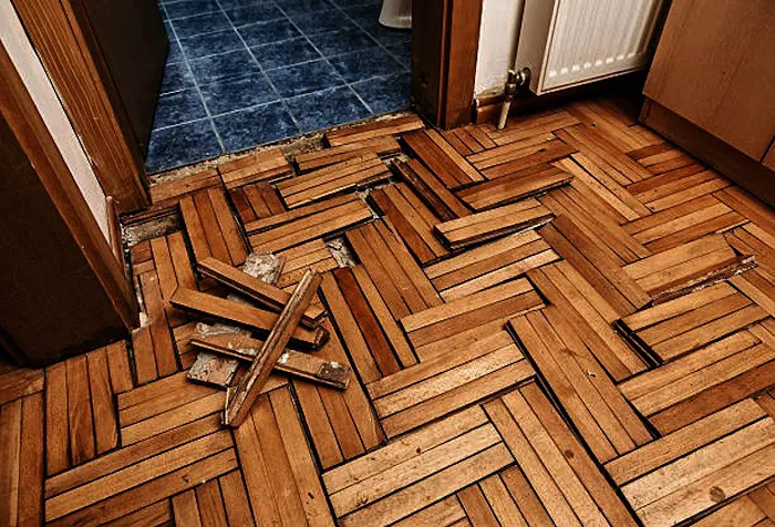 Water Damage Restoration Picture 9