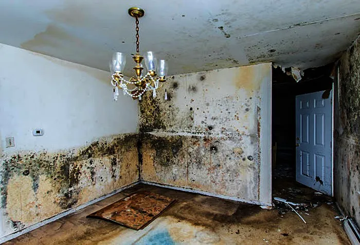 Water Damage Restoration Picture 10