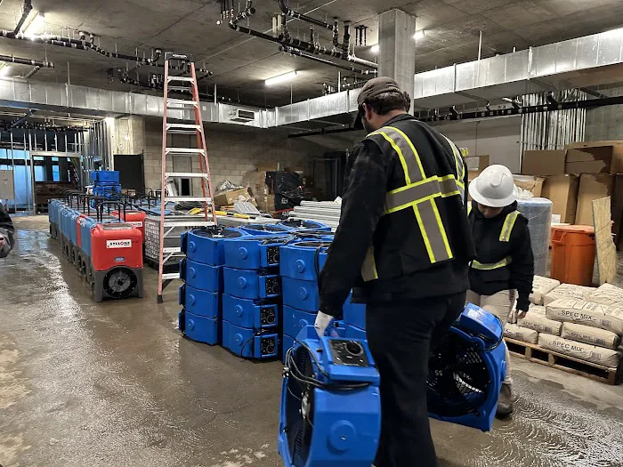 Allied Restoration Picture 10