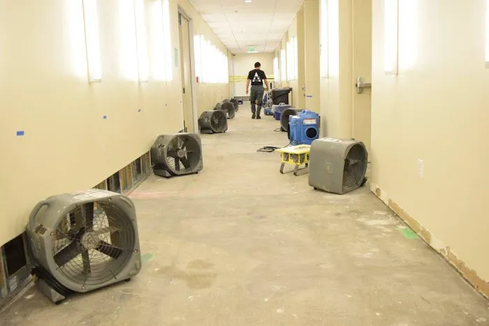 Allied Restoration Picture 9