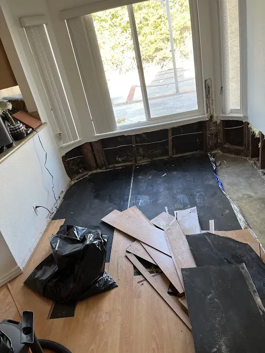 Rapid Restoration Solutions Picture 1