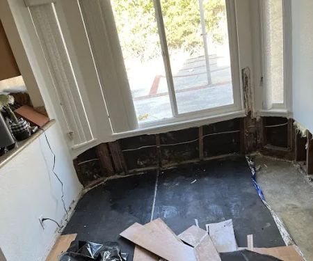 Rapid Restoration Solutions