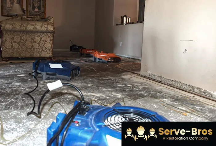 Serve Bros Picture 1