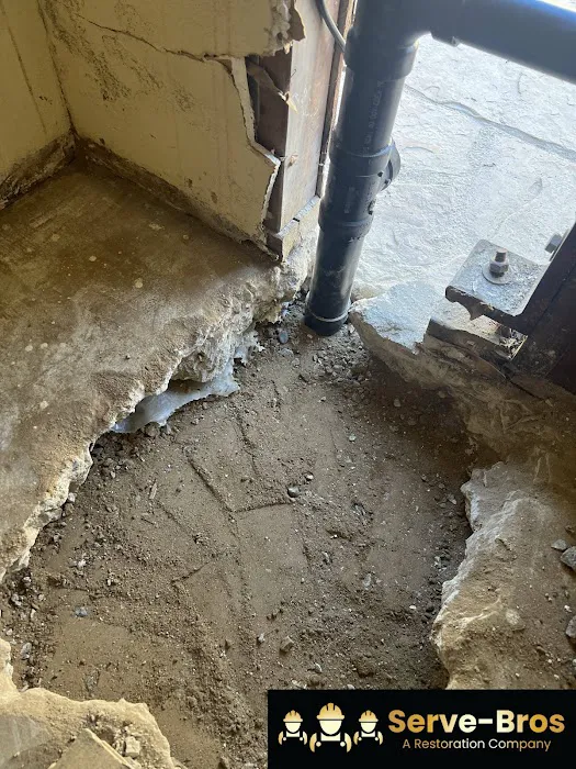 Serve Bros Picture 8