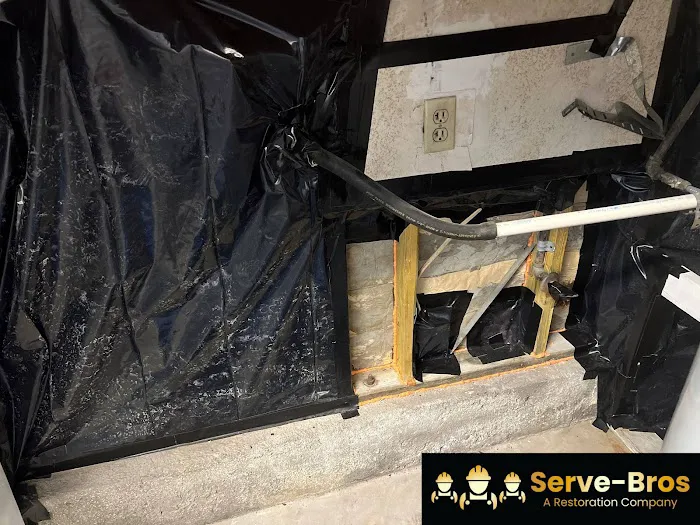 Serve Bros Picture 9