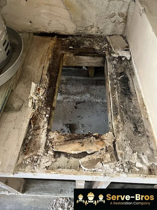 Serve Bros Picture 6