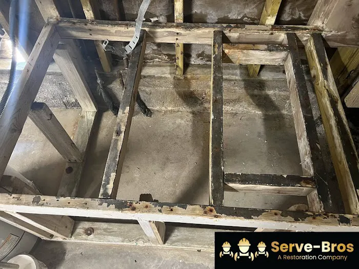 Serve Bros Picture 4