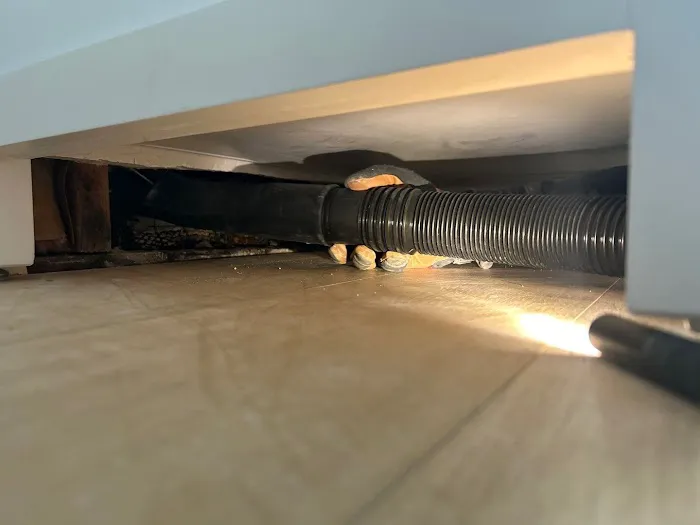 Dry-Out Medics | Water Damage Repair & Cleanup Picture 2