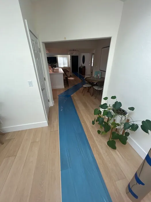 Dry-Out Medics | Water Damage Repair & Cleanup Picture 1