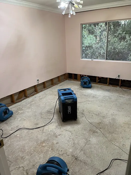 Dry town restoration & construction Picture 3